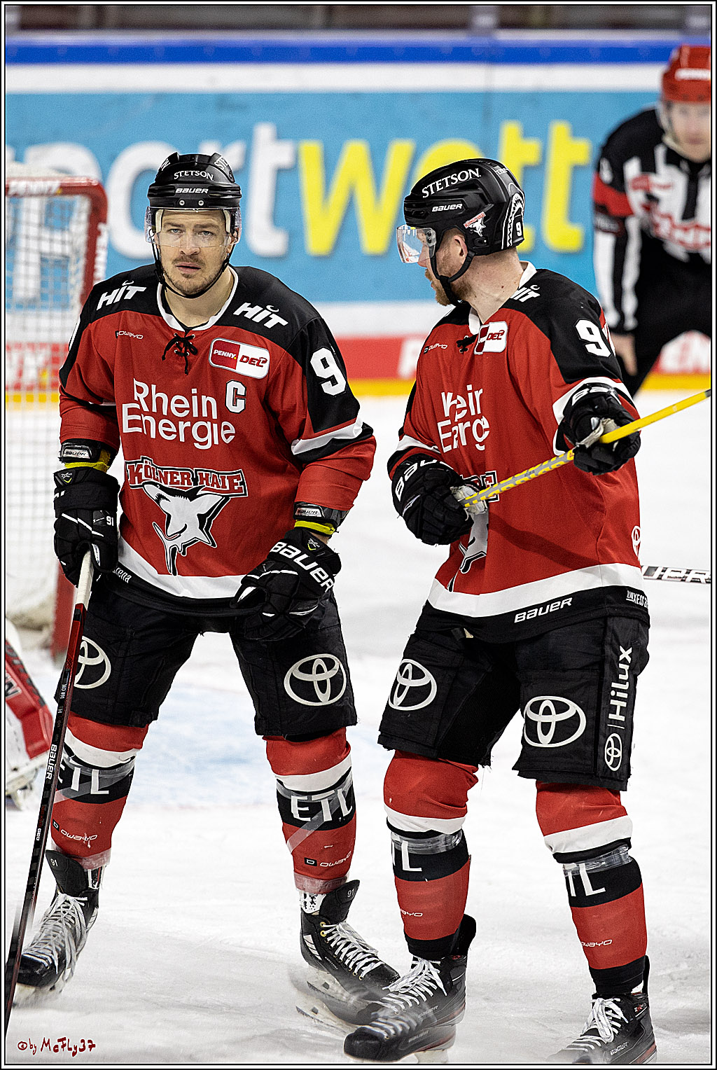 PENNY DEL;  Koelner Haie - ERC Ingolstadt; Koeln, 19.12.2021